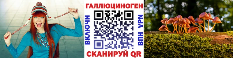 Купить закладки Болгар Галлюциногенные грибы прущие грибы